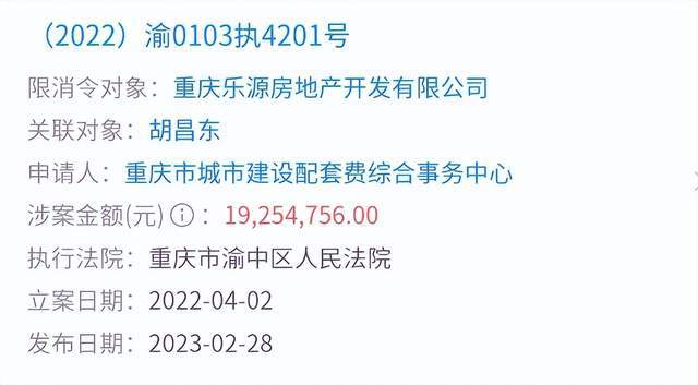 重庆某知名楼盘惊现大骗局？众多购房者掉坑千万房款打水漂(图12)