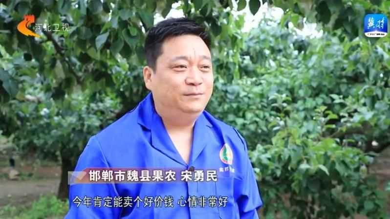 民生跟着“民声”走丨劳务品牌成为地方就业新“引擎”(图8)