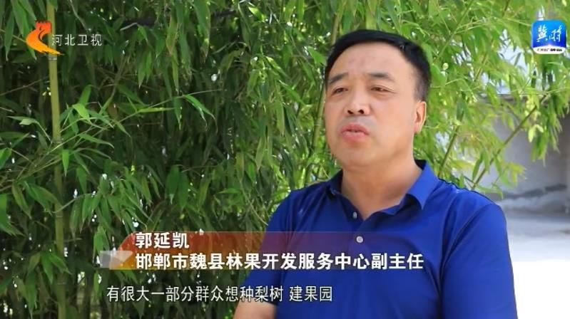 民生跟着“民声”走丨劳务品牌成为地方就业新“引擎”(图9)
