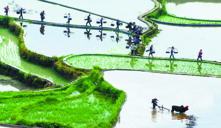 绿色崛起 “丽水山耕”践行“丽水之干”(图3)