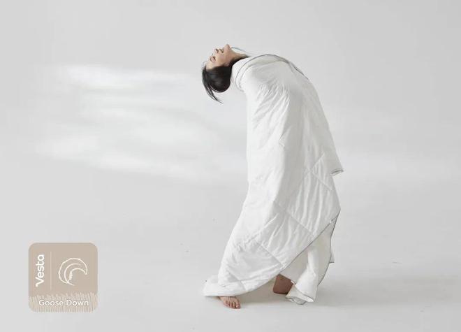 对话Vesta谷振宇：全球品牌之路远比大家想象的长(图6)