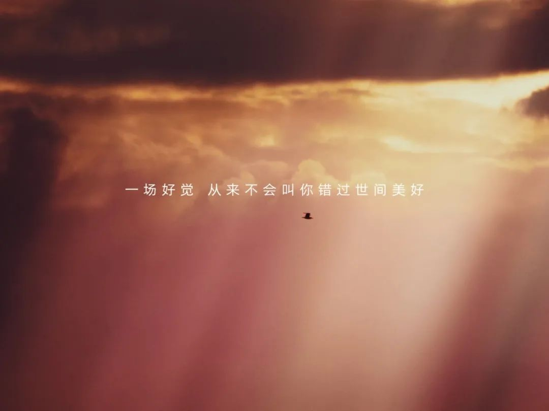 从刀郎爆火背后的文化根基看品牌营销如何火出圈(图5)