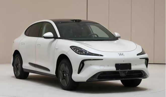 成都车展新能源车前瞻 中国品牌新车攻势不减(图9)