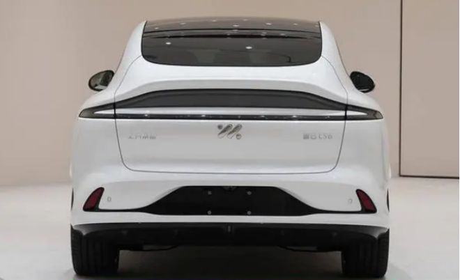 成都车展新能源车前瞻 中国品牌新车攻势不减(图10)