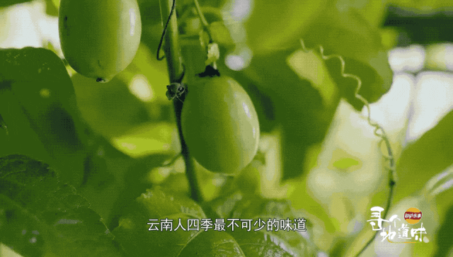 薯片也能拍纪录片？看乐事《寻个地道味》的文化输出！(图3)