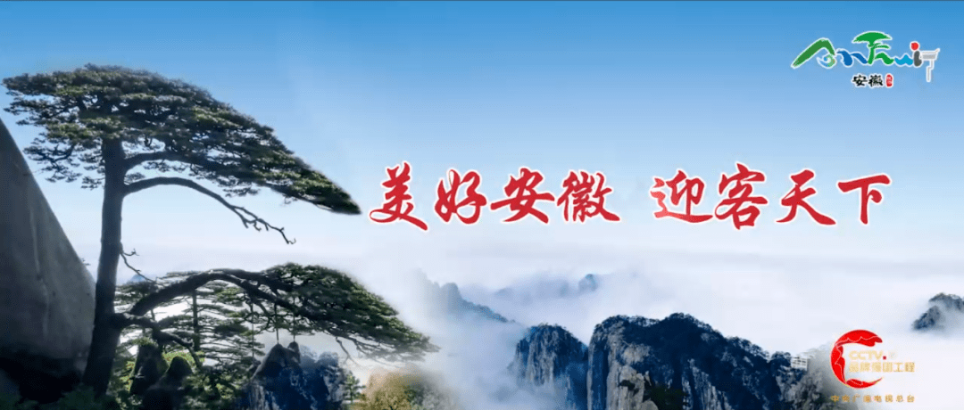 总台“品牌强国工程”彰显市场信心今年以来多个品牌全新加入(图9)