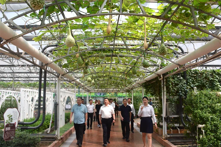 name=view(图5) name=view(图5)