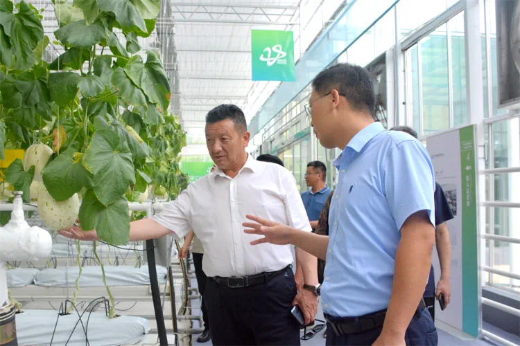 name=view(图6) name=view(图6)