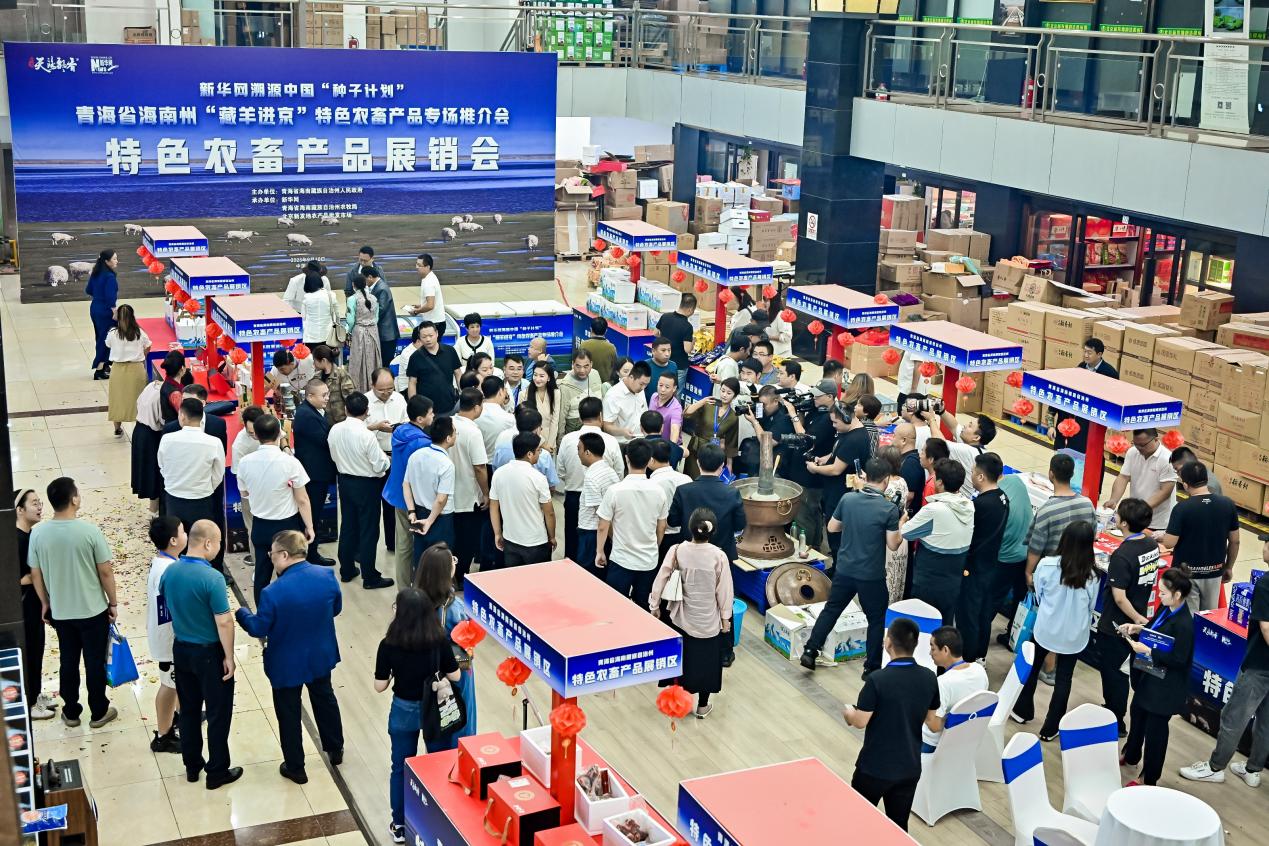 div data=datasource：20230910d3a18e9582ad4179bd9bf032687a86 type=content(图6)