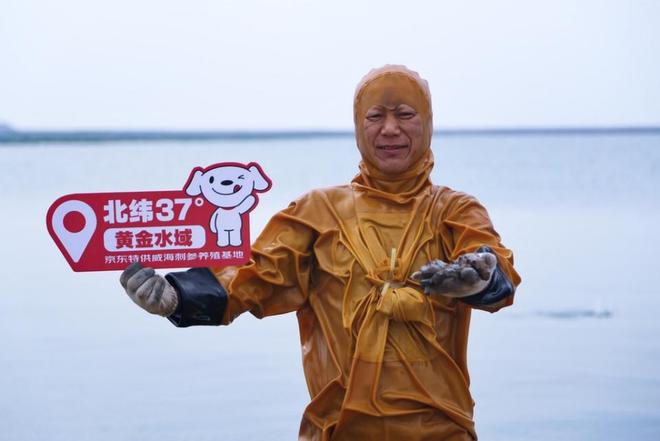 威海与京东战略合作：共建标准开辟物流航班造海参第一品牌(图4)