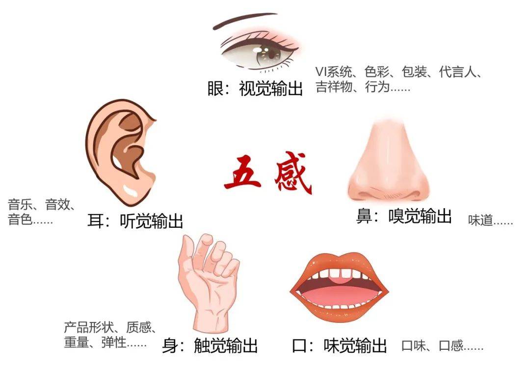 八维规设丨8种方法提炼品牌个性精准输出(图7)