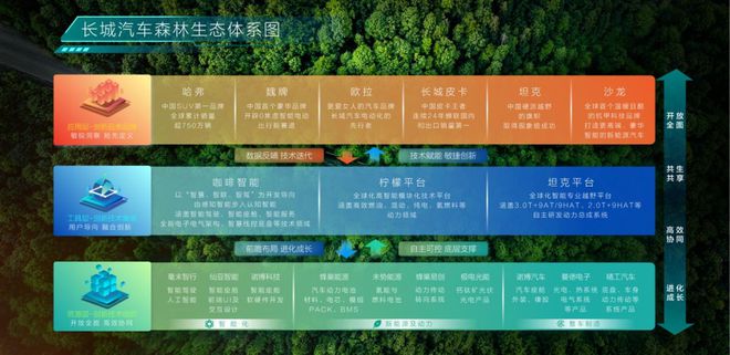 赢在当下把握未来这家车企的长期主义露出峥嵘(图6)