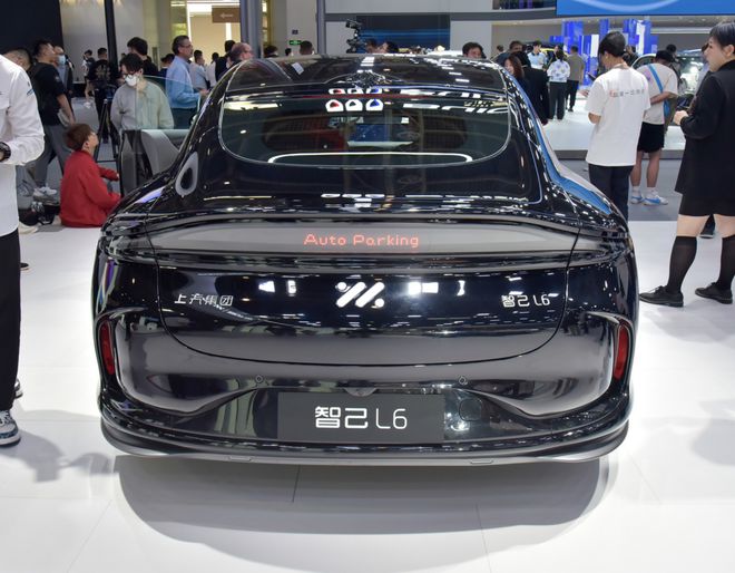 2024年北京车展这些中国品牌的新能源车最值得买！(图14)