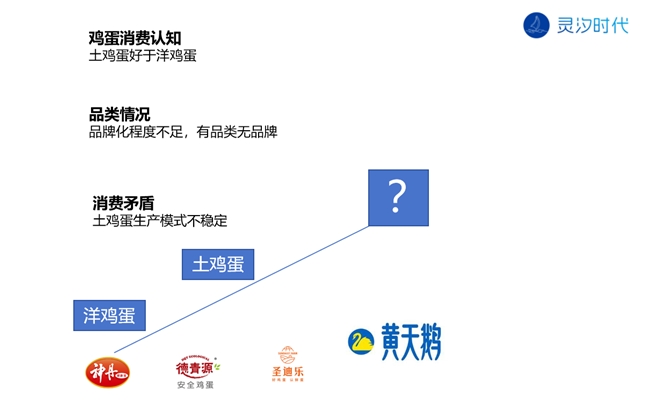 灵汐时代案例品类即品牌黄天鹅可生食鸡蛋3年15亿(图4)