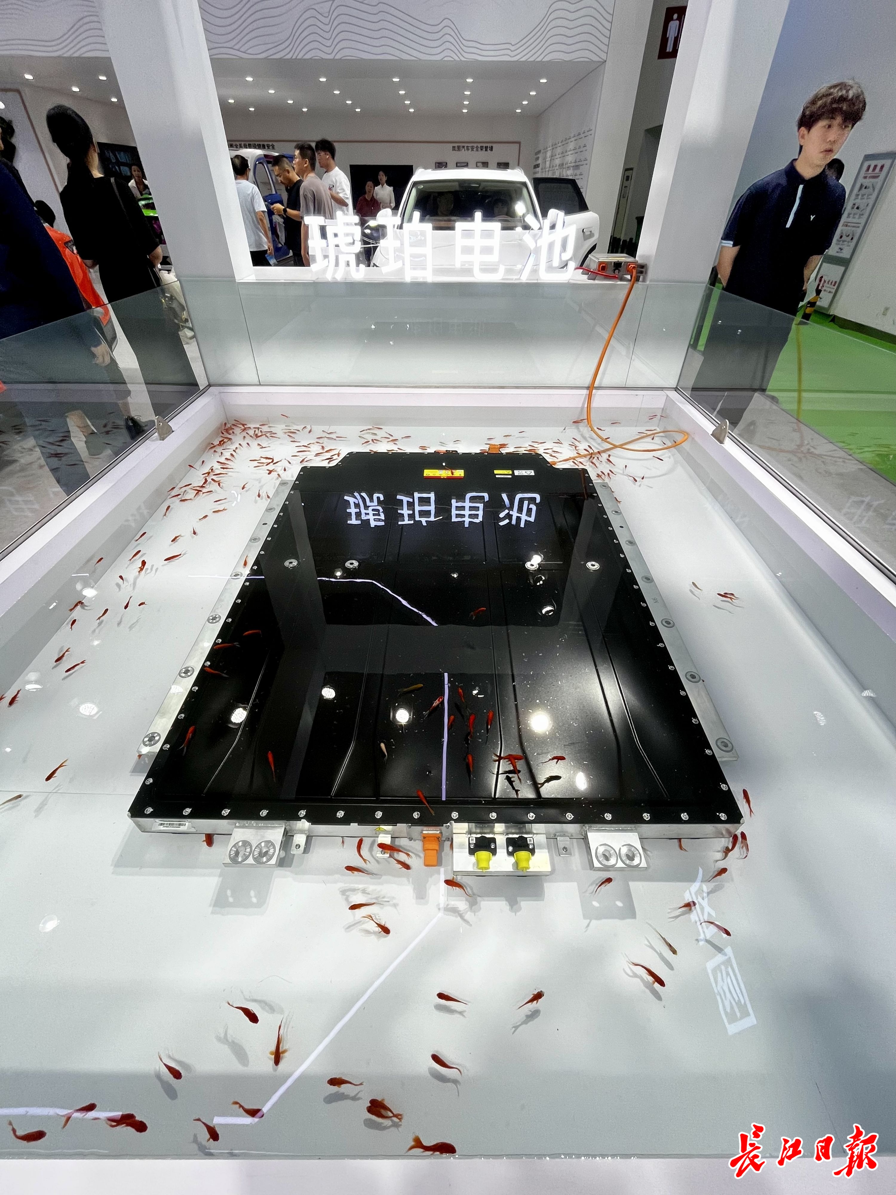 70余品牌、千余车型集中亮相！汉产新能源车一次能跑2054公里(图2)