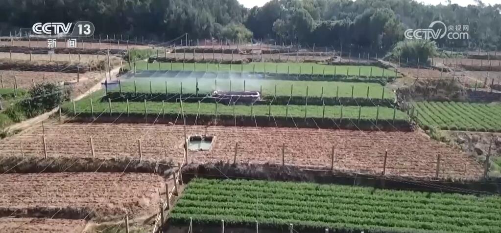 “种全国、卖全球” 小萝卜“变身”致富大产业 擦亮中国特色农业品牌(图3)