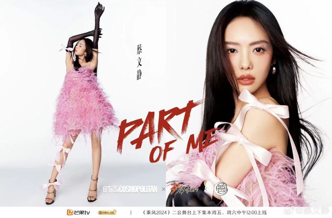 这届“浪姐5”精神状态实录：她好癫品牌方好爱(图5)