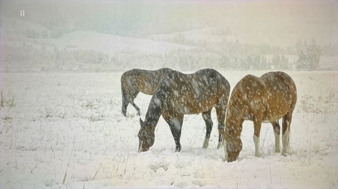 TCL 85T7K深度测试:T7H线价格优势明显(图9) TCL 85T7K深度测试:T7H线价格优势明显(图9)