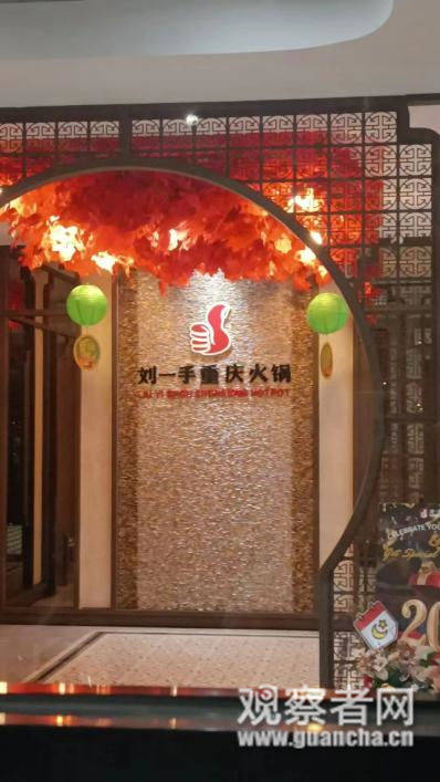 这张图代表着中国在东南亚的三重输出-李平章(图5)