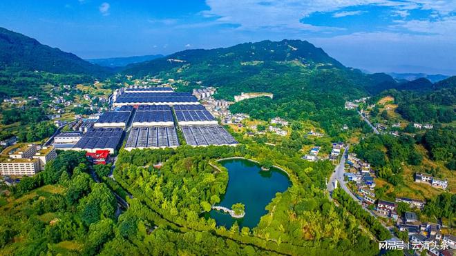 3万余吨高洲真年份老酒公证在即原酒大王向品牌转身(图2)