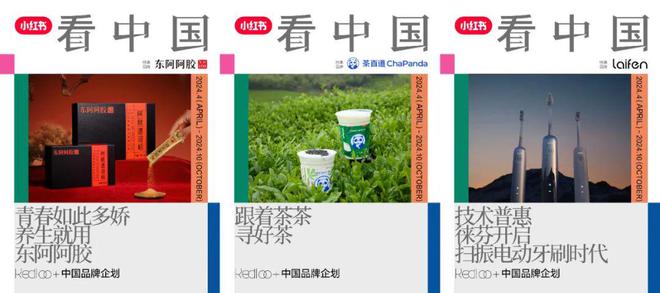 为什么品牌增长需要小红书IP？(图5)