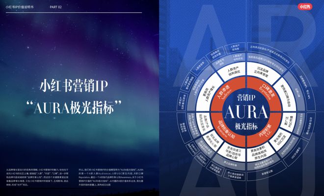 为什么品牌增长需要小红书IP？(图6)