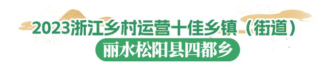 2023浙江文化和旅游总榜发布！丽水九项上榜(图4)