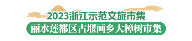 2023浙江文化和旅游总榜发布！丽水九项上榜(图6)