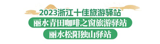 2023浙江文化和旅游总榜发布！丽水九项上榜(图15)