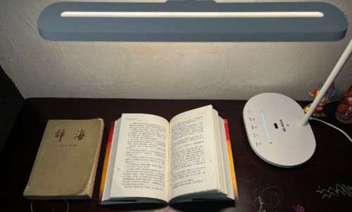 什么牌子的灯具性价比高？推荐高性价比的灯具。(图4)
