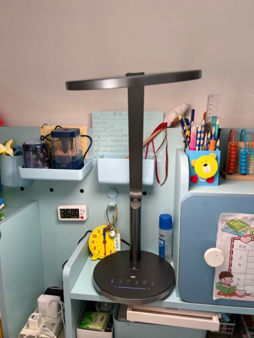 什么牌子的灯具性价比高？推荐高性价比的灯具。(图7)