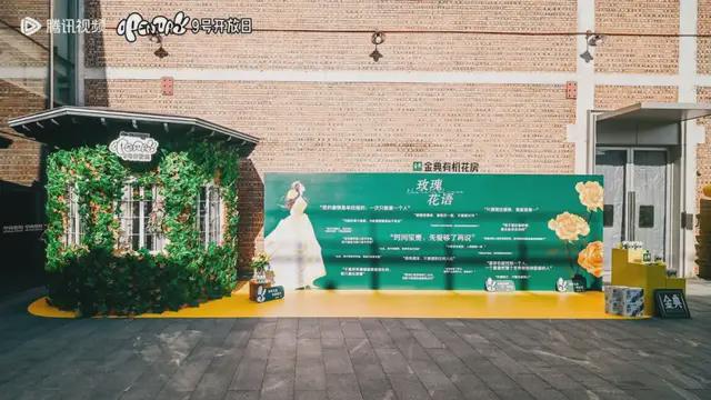 全民共情成爆剧新标？《玫瑰的故事》如何让品牌出圈？(图8)