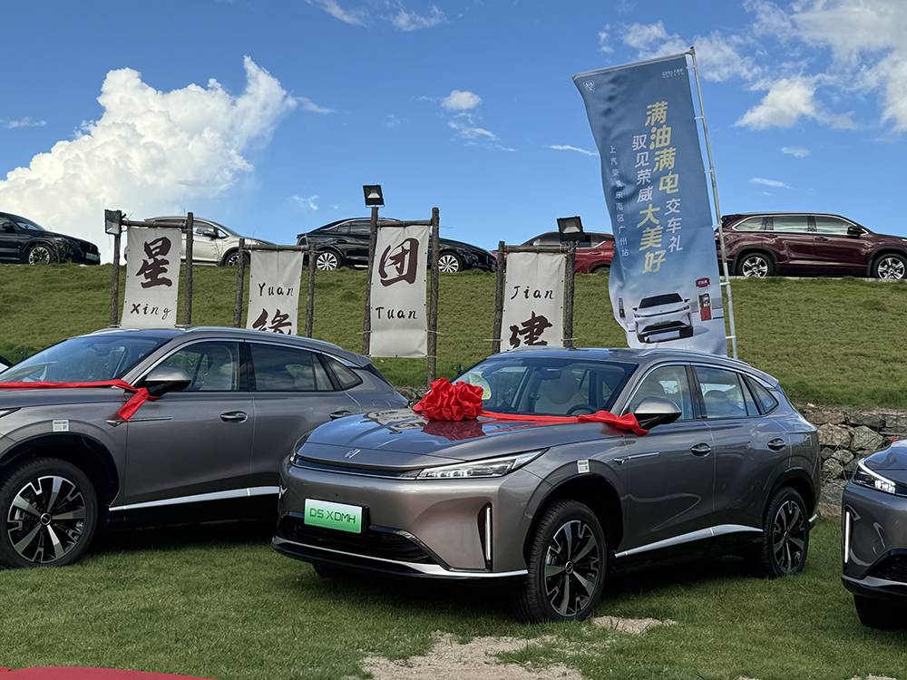 荣威D5X DMH：匮电油耗525L100km彰显中国品牌实力(图2)