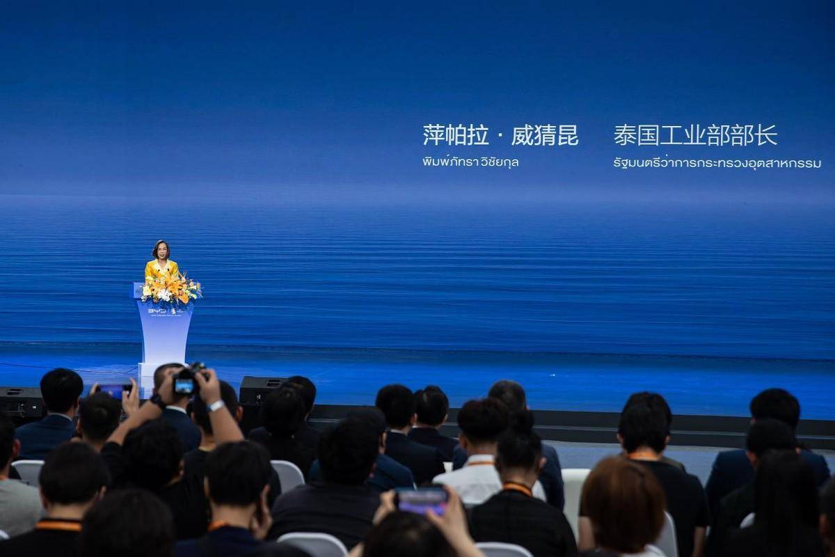 的长期主义红利初现(图6)