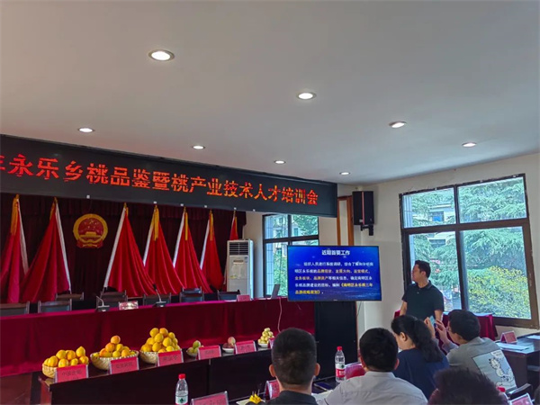 南明区永乐乡：桃产业园初挂果 果香四溢产业旺(图4)