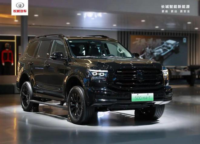智能、越野 长城汽车六大品牌登陆2024成都车展(图16)