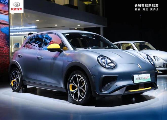 智能、越野 长城汽车六大品牌登陆2024成都车展(图18)