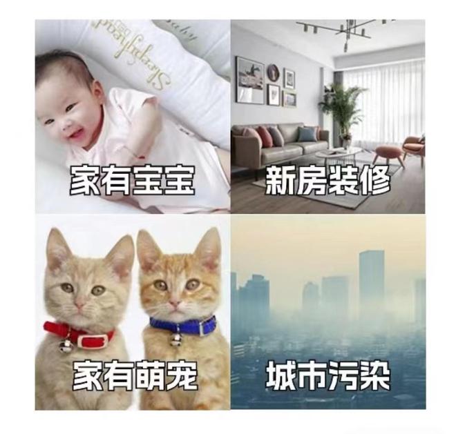 宠物掉毛多怎么办2024年空气净化器哪个品牌除毛除菌效果最佳？(图1)