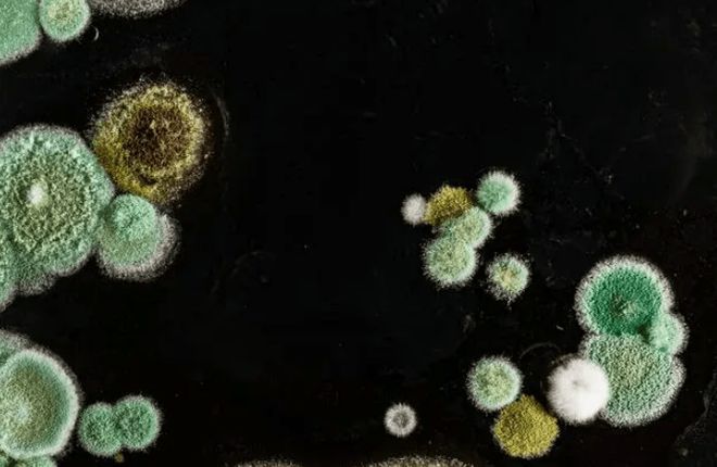 洗内裤的小洗衣机买啥牌子的？5款好物硬核深度测评比拼！(图4)